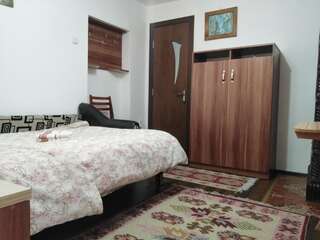 Отели типа «постель и завтрак» Casa La Agapia Агапия Дом с 1 спальней-1